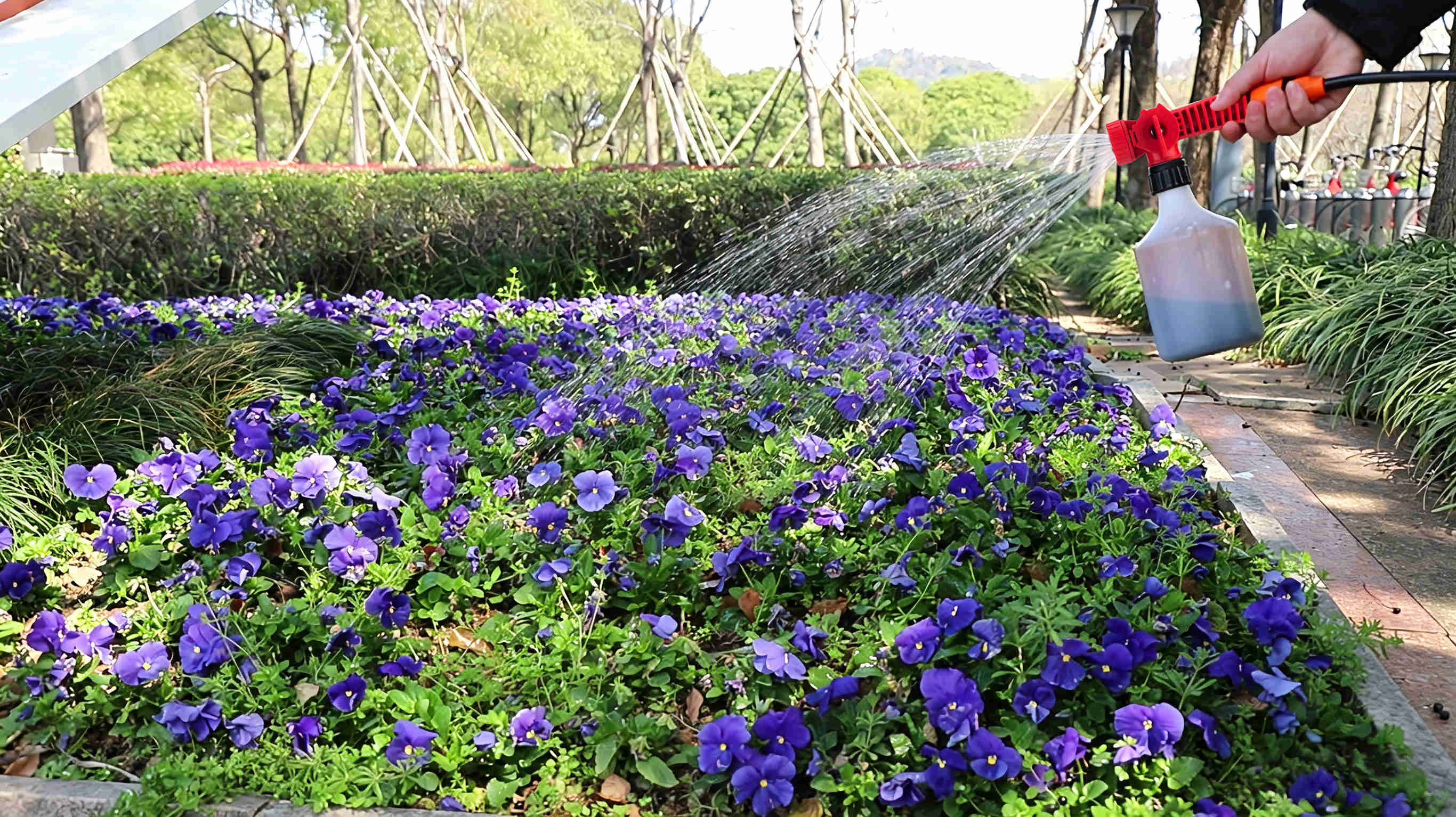 Mantenimiento de jardines y plantas