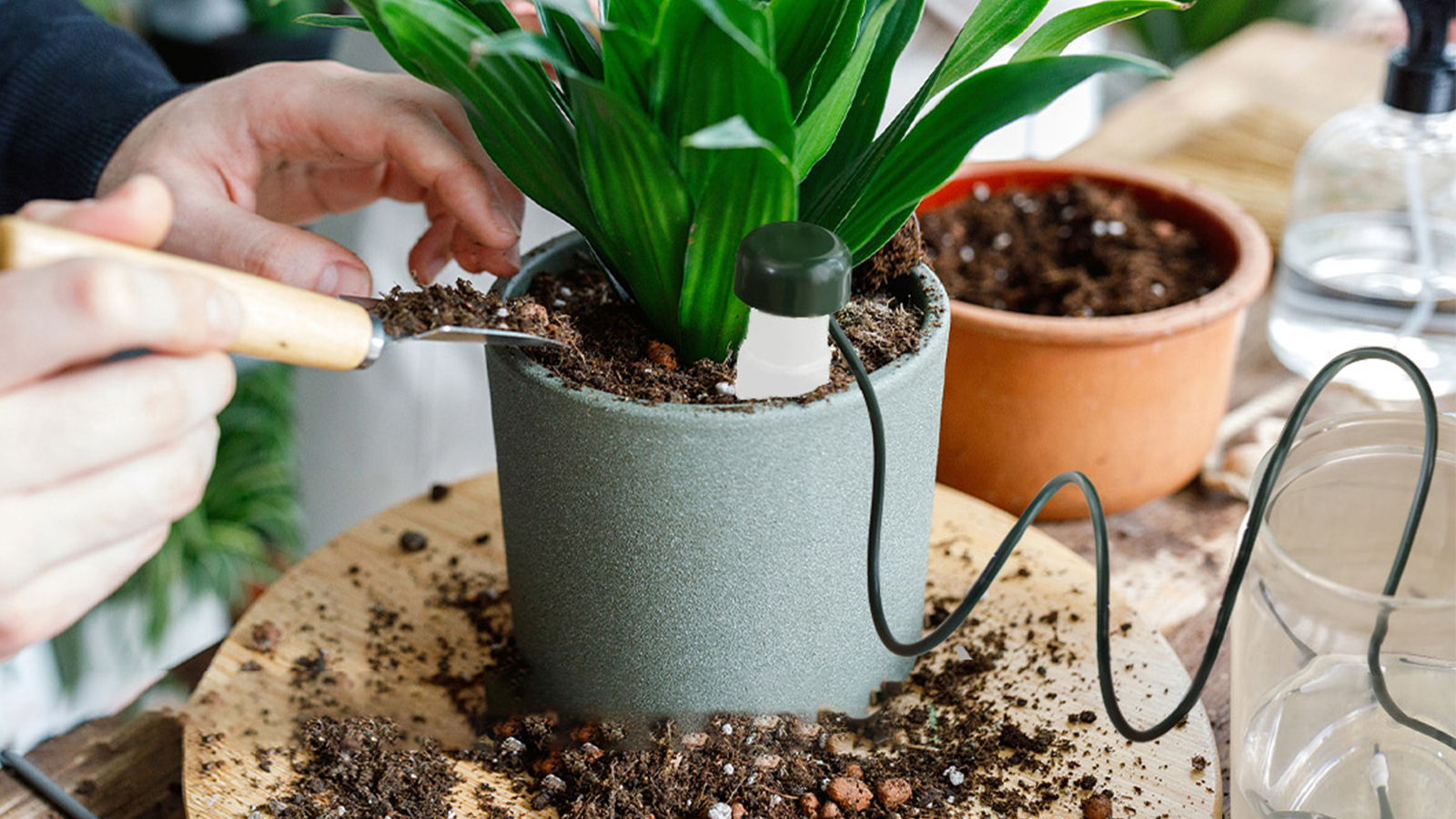 Regadera automática para plantas de interior y exterior, sistema de riego de jardín (pequeño)